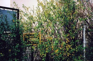 #16 Fischbach, Kelkheimerstraße